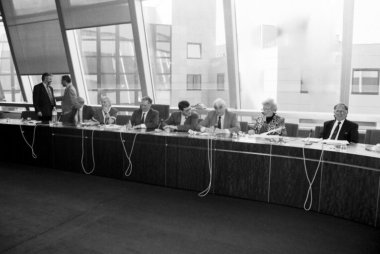 Meeting at the EP in Strasbourg