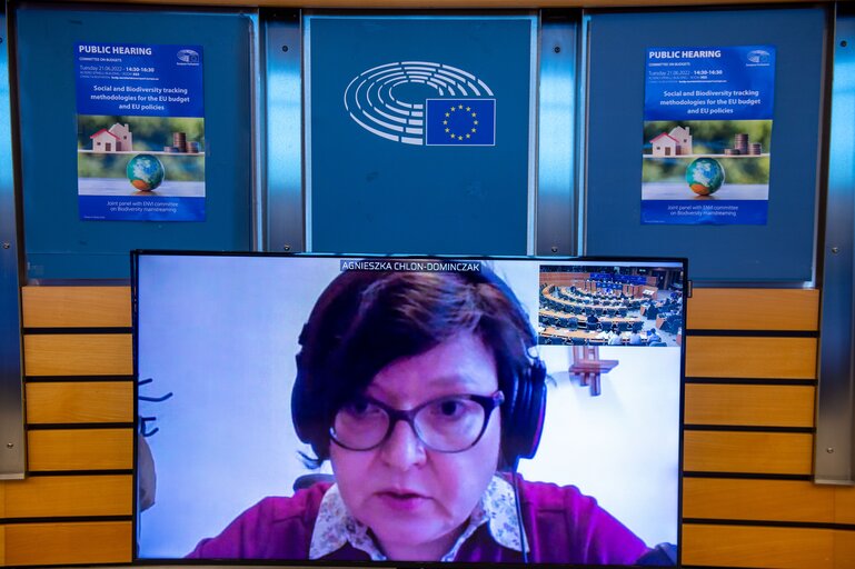 Fotografie 4: BUDG committee - Public hearing 'Social and Biodiversity tracking methodologies for the EU budget and EU policies'