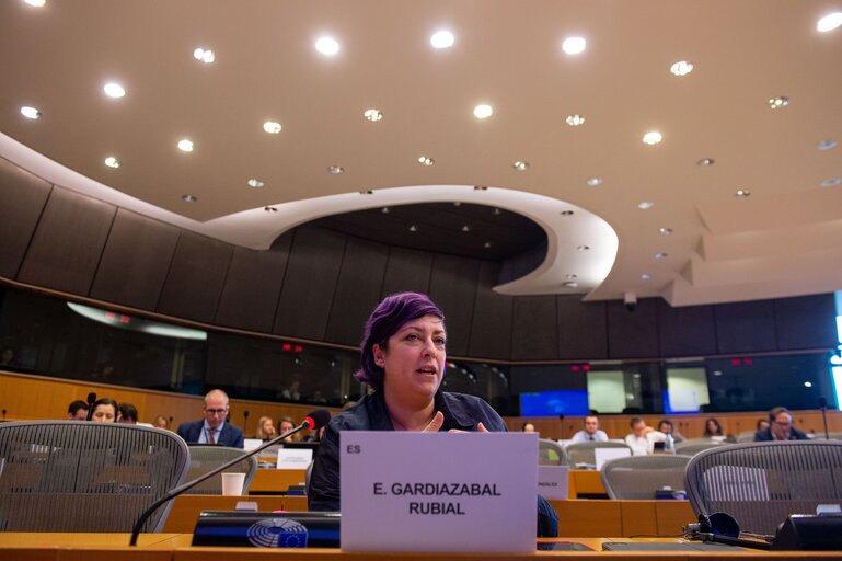 Fotografie 8: BUDG committee - Public hearing 'Social and Biodiversity tracking methodologies for the EU budget and EU policies'