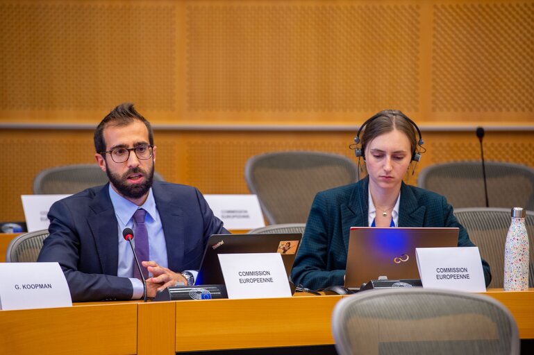 Fotografie 3: BUDG committee - Public hearing 'Social and Biodiversity tracking methodologies for the EU budget and EU policies'