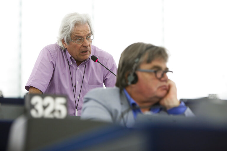 Fotografia 8: Plenary session in Strasbourg - Week 27 2016 - New initiatives related to the Middle East Peace Process