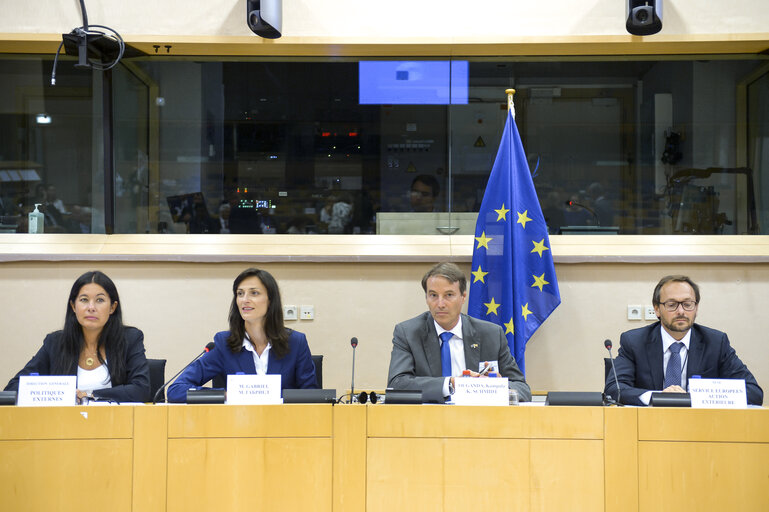 Foto 17: Workshop: Optimising EU relations with third countries around the electoral cycle