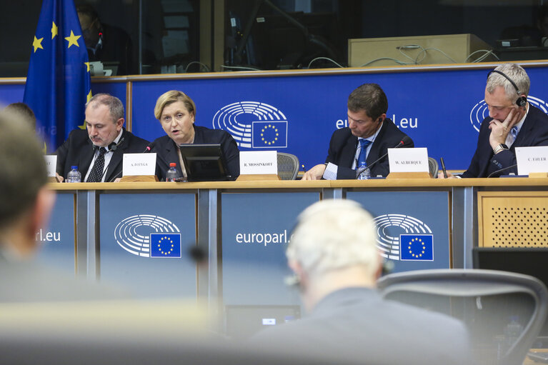 Foto 4: SEDE Subcommittee - The future of conventional arms control in Europe - Exchange of views