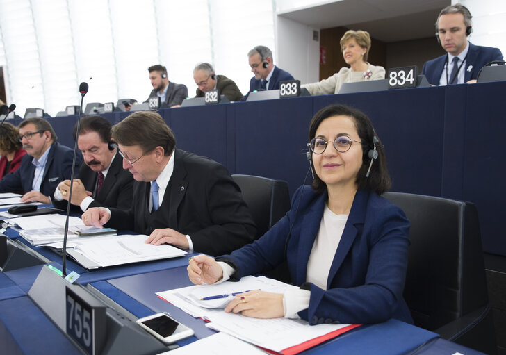 Tokia SAIFI in the EP in Strasbourg