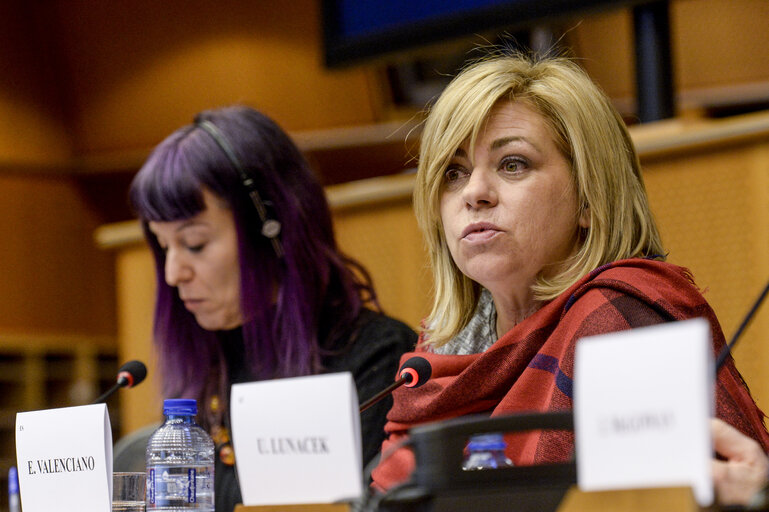 Fotogrāfija 7: Seminar for journalists - Women refugees and asylum seekers in the EU - The situation of women refugees and migrants