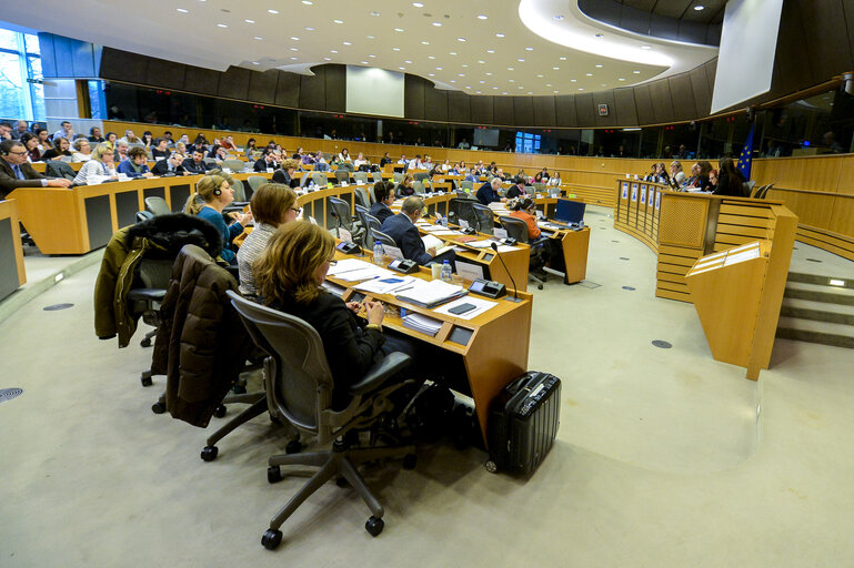 Foto 1: CULT Committee meeting   Public hearing on ' Integration of immigrants and their children though education and culture '