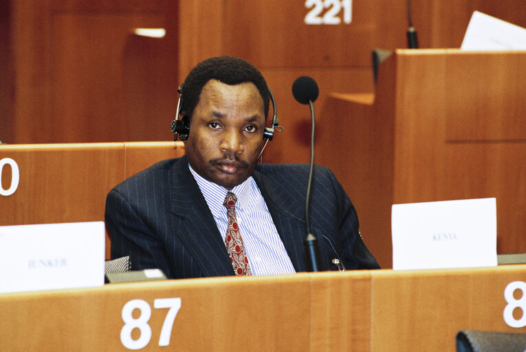 Nuotrauka 34: 17th session of the EEC-ACP Joint Assembly