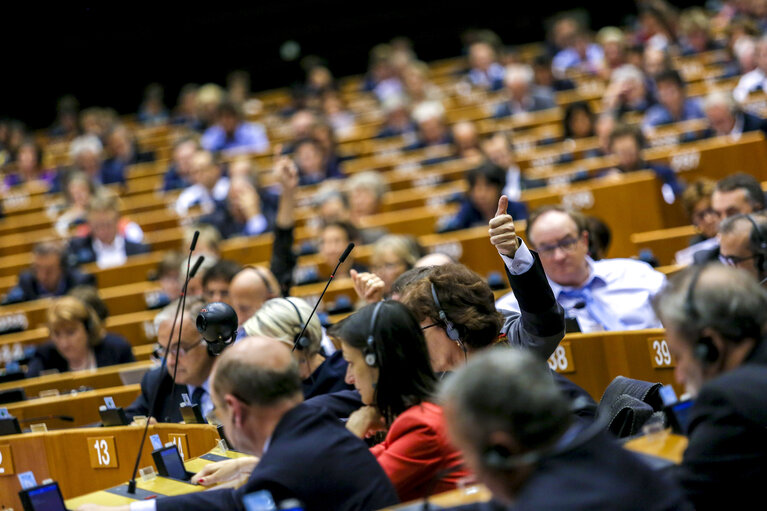 Fotografi 45: Plenary Session week 38 2015 in Brussels: Resumption of session and order of business. Votes