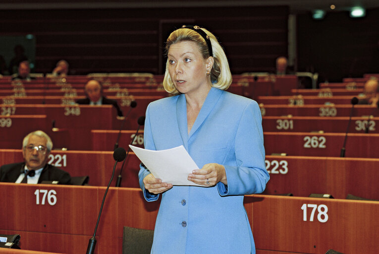 Plenary session in Brussels