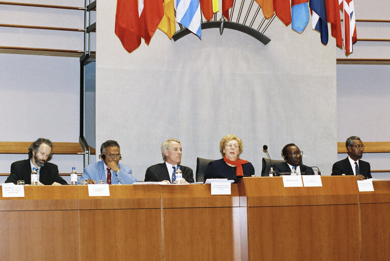 Fotografi 26: 17th session of the EEC-ACP Joint Assembly