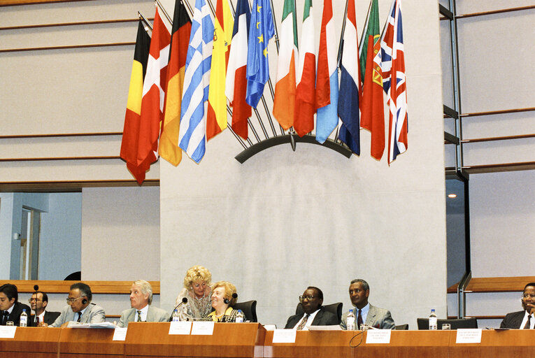 Fotografi 38: 17th session of the EEC-ACP Joint Assembly