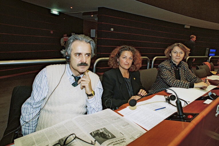 Plenary session in Brussels