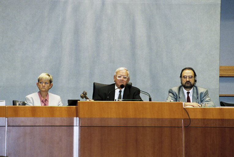 Plenary session in Brussels