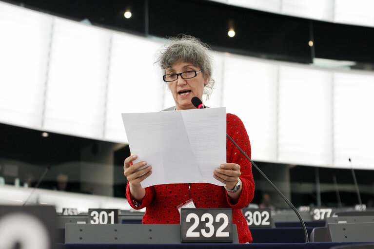 Fotografia 19: Plenary session in Strasbourg - Week 37  2015 - Debate on fisheries agreements