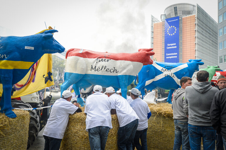 Valokuva 15: Farmers demonstration in front of the European Institutions