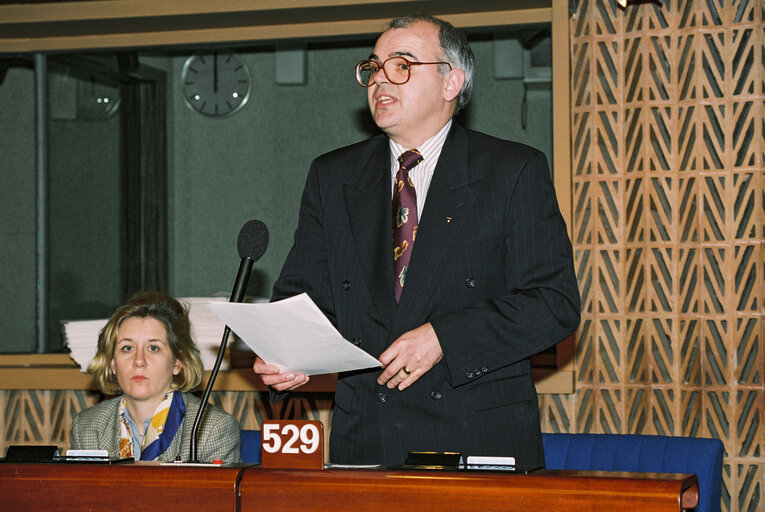 Fotografie 29: Plenary session in Strasbourg