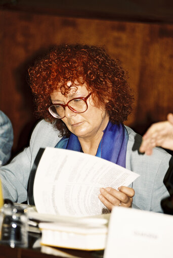 Fotografija 2: ECON Committee Meeting at the European Parliament in Strasbourg