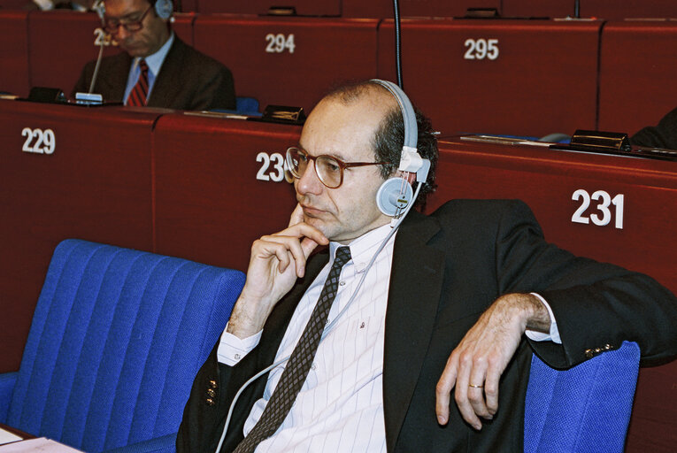 Plenary session in Strasbourg