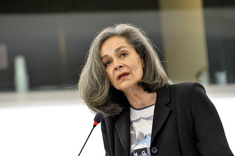 Fotografia 16: Plenary session week 24 2015 in Strasbourg - Strategic military situation in the Black Sea Basin following the illegal annexation of Crimea by Russia