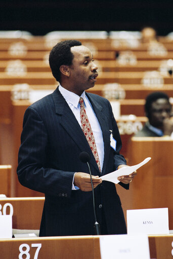 Nuotrauka 32: 17th session of the EEC-ACP Joint Assembly