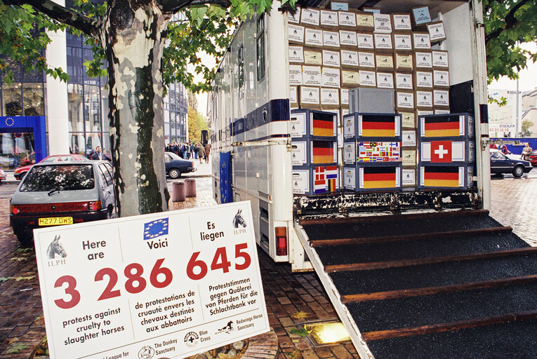 Foto 17: Handing over of signatures in suppor of a petition against the transportation of horses for slaughter in Europe, in October 1994