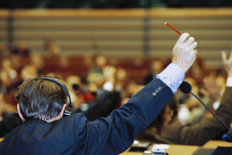 Plenary session in Brussels