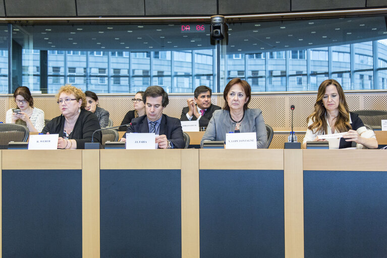 Photo 6: Euro-Latin American Parliamentary Assembly - 8th Ordinary Plenary Session  Meeting of the Working Group on Migration in relations between the EU, Latin America and the Caribbean
