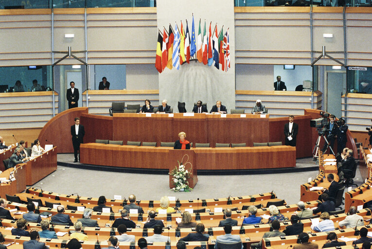 Fotografi 28: 17th session of the EEC-ACP Joint Assembly