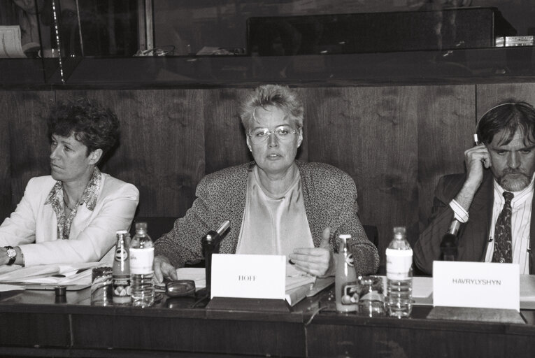 Fotogrāfija 2: Meeting of the Committee on Economic and Monetary Affairs and Industrial Policy in September 1992