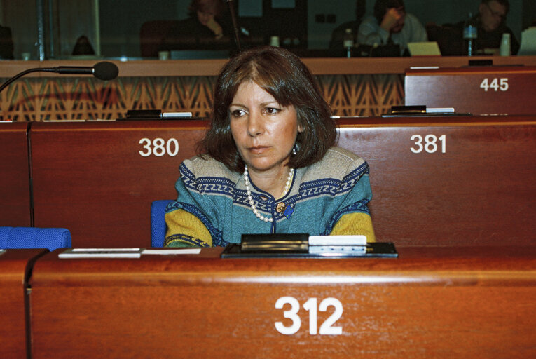 Plenary session in Strasbourg