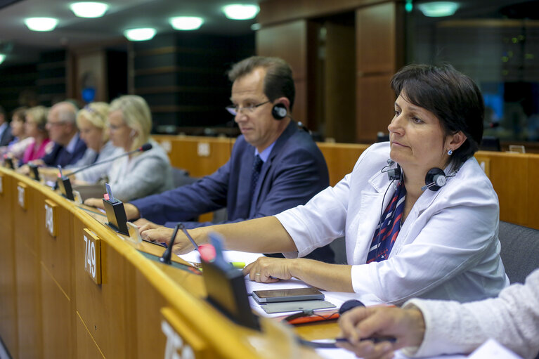 Billede 8: Plenary Session week 38 2015 in Brussels: Resumption of session and order of business. Votes