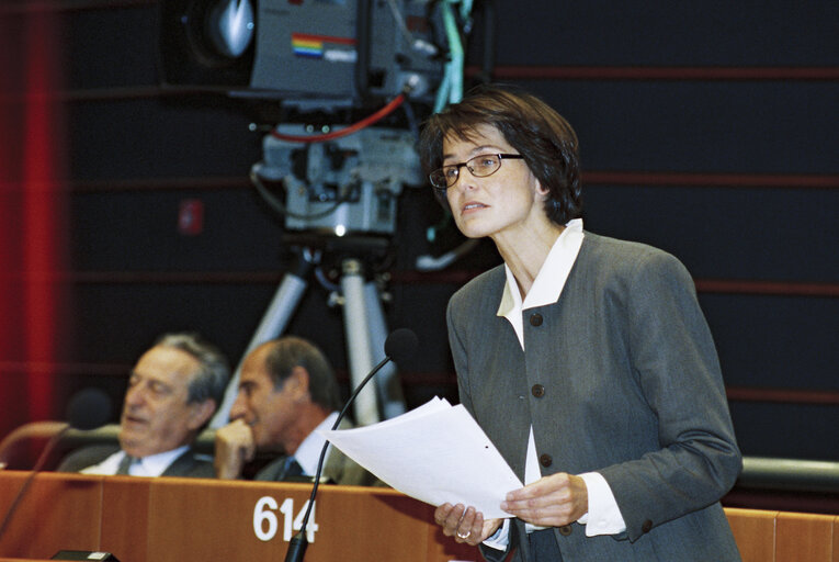 Plenary session in Brussels