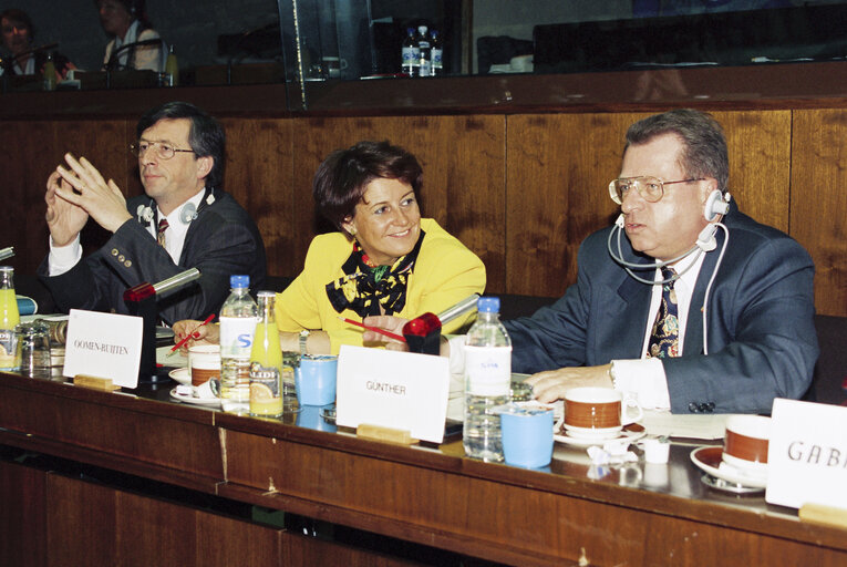 Fotografija 23: Meeting at the EP in Brussels