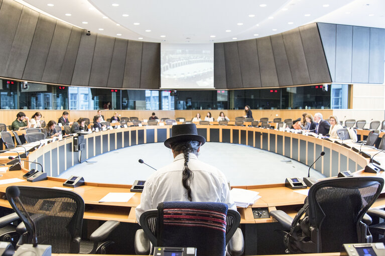 Photo 12: Euro-Latin American Parliamentary Assembly - 8th Ordinary Plenary Session  Meeting of the Working Group on Migration in relations between the EU, Latin America and the Caribbean