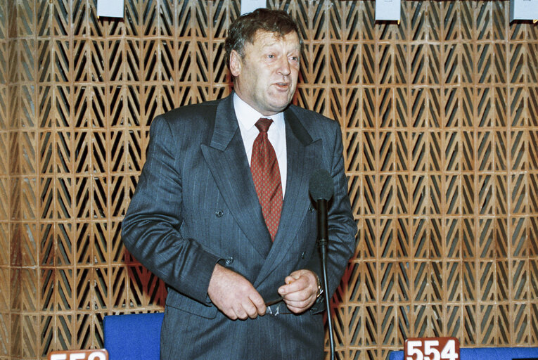 Plenary session in Strasbourg