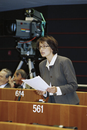 Plenary session in Brussels