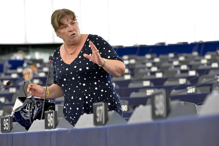 Foto 6: Plenary session week 24 2015 in Strasbourg - Strategic military situation in the Black Sea Basin following the illegal annexation of Crimea by Russia