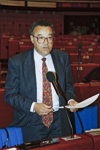 Plenary session in Strasbourg