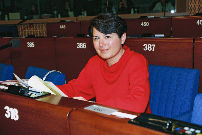 Plenary session in Strasbourg