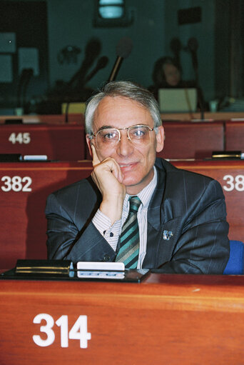 Plenary session in Strasbourg