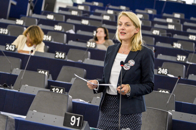 Fotografi 38: Plenary Session week 38 2015 in Strasbourg