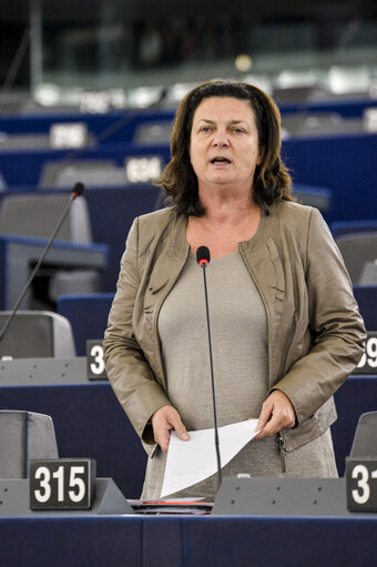 Fotografi 33: Plenary Session week 38 2015 in Strasbourg