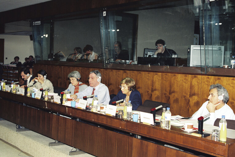 Meeting at the EP in Brussels