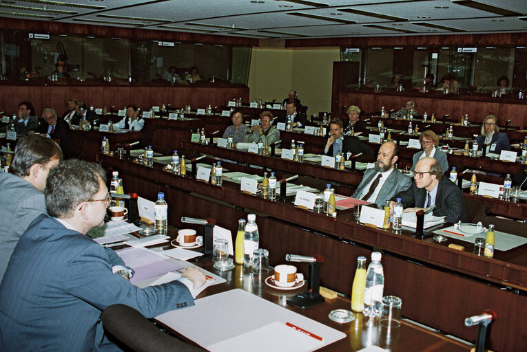 Fotografia 4: Meeting of the EC-Finland Joint Parliamentary Committee