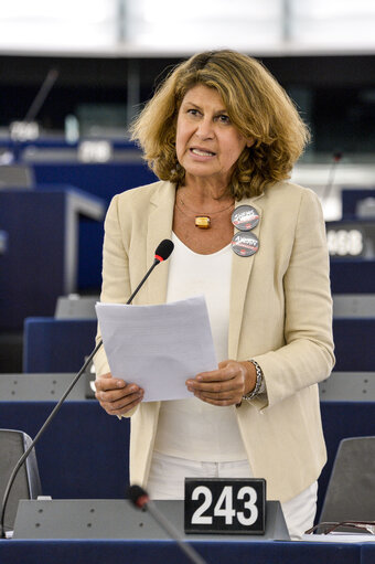 Valokuva 36: Plenary Session week 38 2015 in Strasbourg