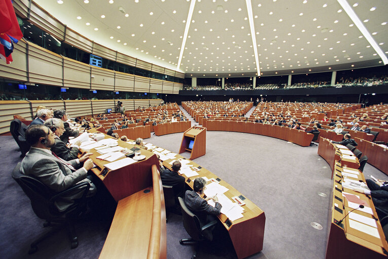 Plenary session in Brussels