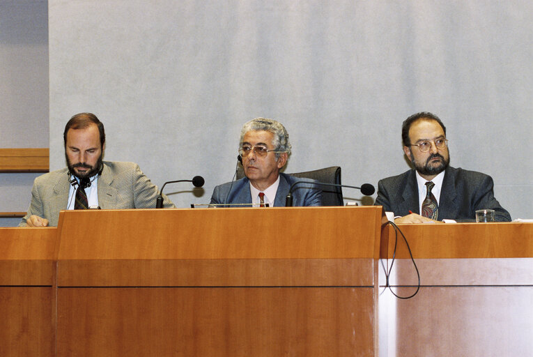 Plenary session in Brussels