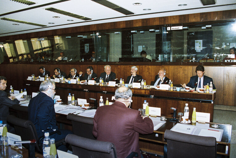 Foto 2: Meeting of the EC-Turkey Joint Parliamentary Committee