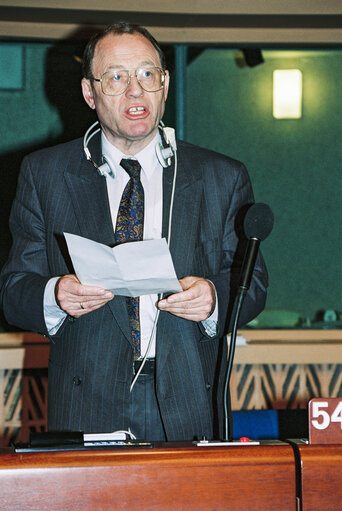 Plenary session in Strasbourg