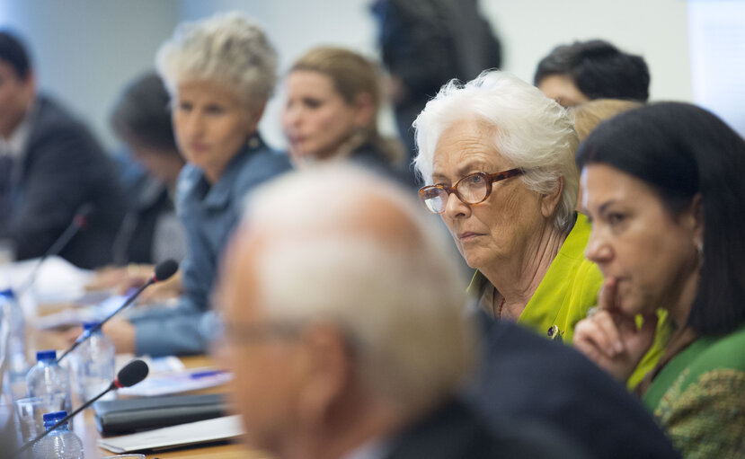 Fotografija 8: Missing children: a European roadmap to safety Round table for EU decision makers and grassroots practitioners on the cross-border problem of missing children